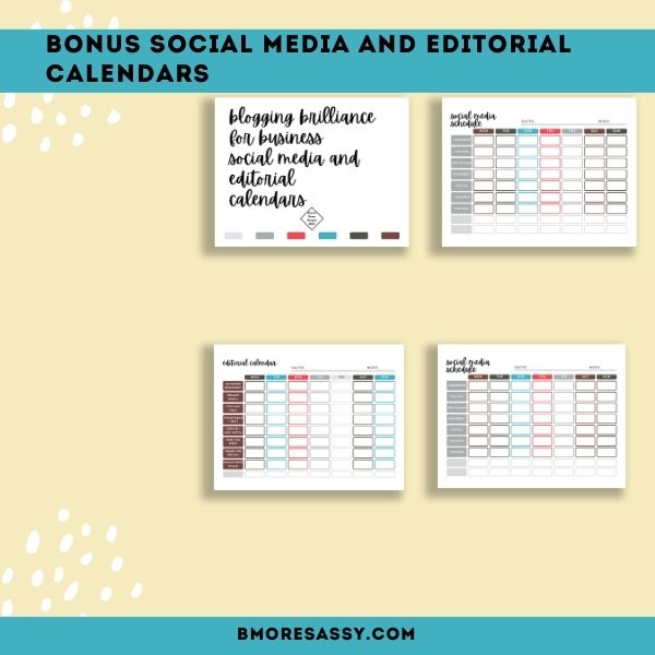 Blogging Brilliance for Business: Achieve More in 2024 Entrepreneurs Blogging Essentials Bundle